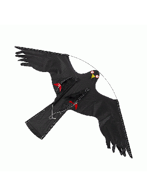 Bird Scarer kite in the design of a Hawk 