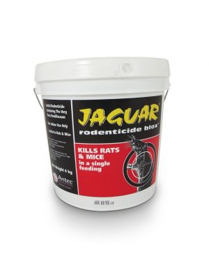 Jaguar Blocks can be applied indoor and outdoor use 
