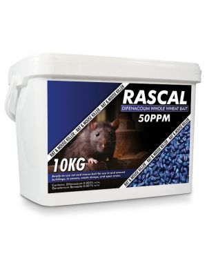 Rascal Difenacoum Whole Wheat that is used to control rats and mice 