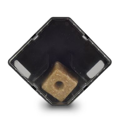 Rotech Sniper Detect Pre-Baited Mouse Box with non toxic block