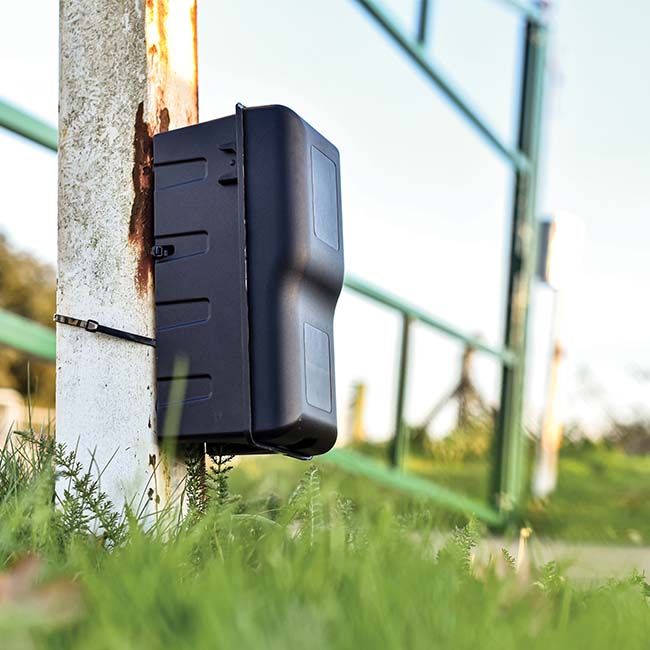 La Rotech Solo Rat Box in situ liée à un poteau