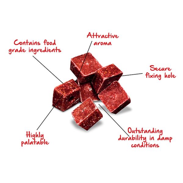 Rotech Rascal 25 Brodifacoum Wax Blocks 5kg | 1Env Pest Control