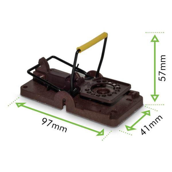 Gorilla Mouse Trap