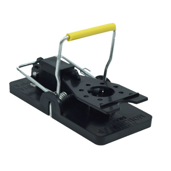 Snap e mouse trap discount