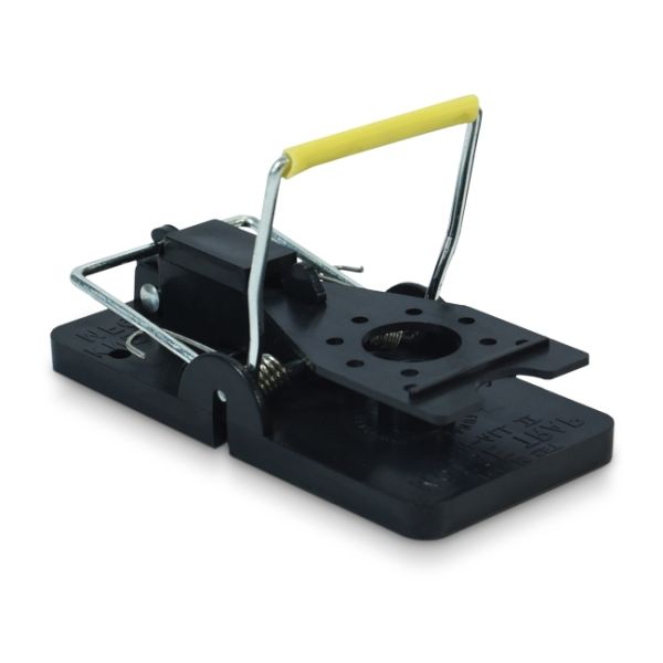 Where can you buy a mousetrap deals
