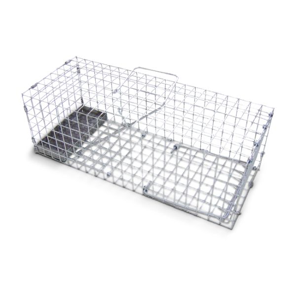 How to Trap a Rat in a Cage