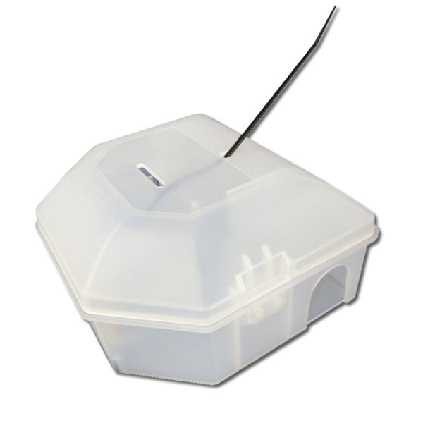 Black box mouse trap store