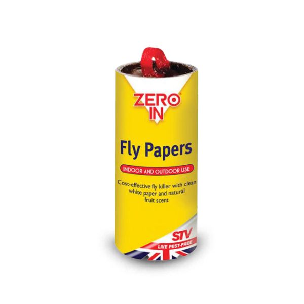 What Is Fly Paper