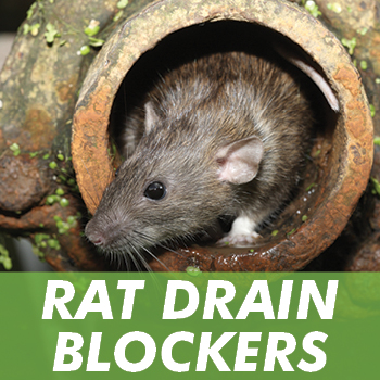 Mouse and Rat Traps - Rodent Control - 1env Solutions