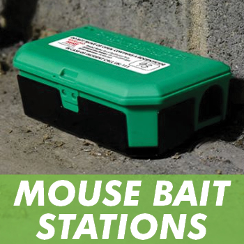 Bait Stations For Rodents - Rats & Mice - 1env Solutions