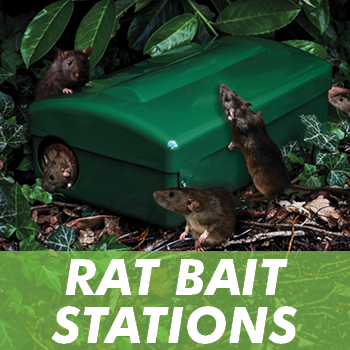 Bait Stations For Rodents - Rats & Mice - 1env Solutions