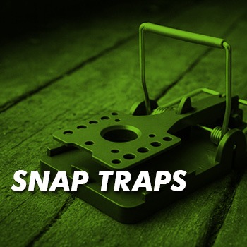 Download the rodent snap traps codes of best practice