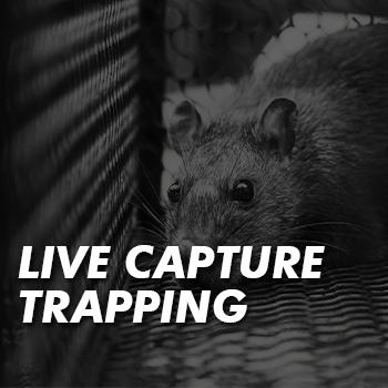 Download the live capture trapping codes of best practice