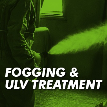 Download the fogging treatment codes of best practice