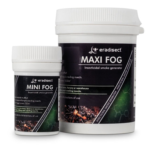 Maxi Mini Fog